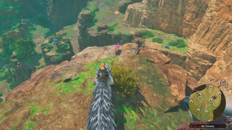 Poogie