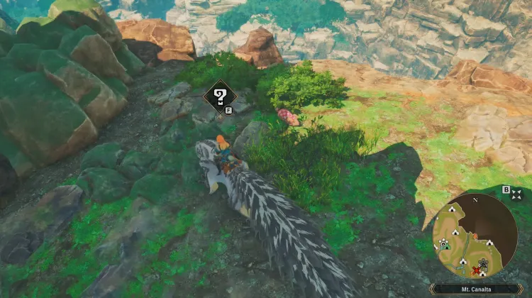 Poogie