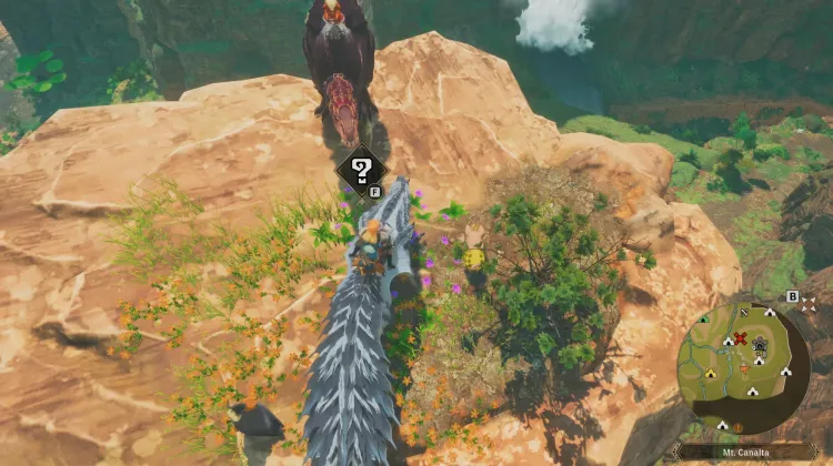 Poogie