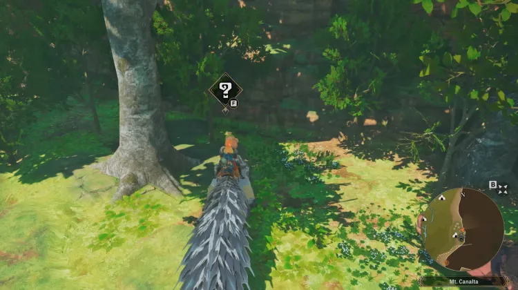 Poogie