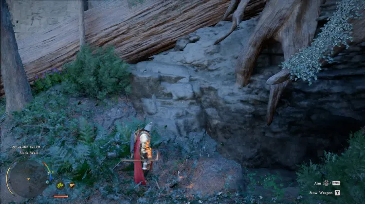 Cave of Desire