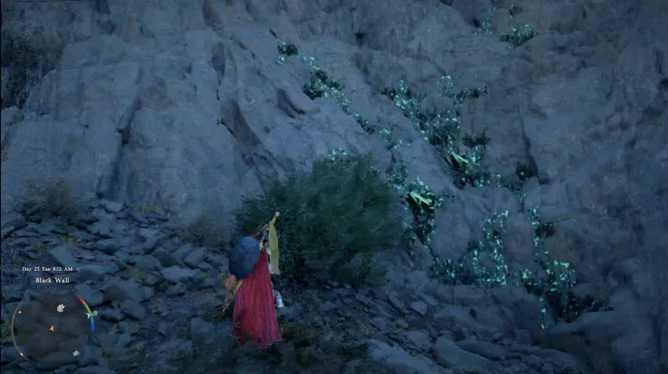 Epidote