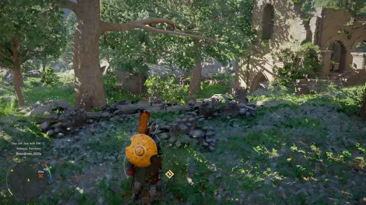 Oakwood Mushrooms