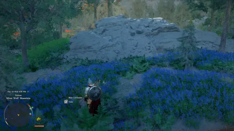 Blue Lavander