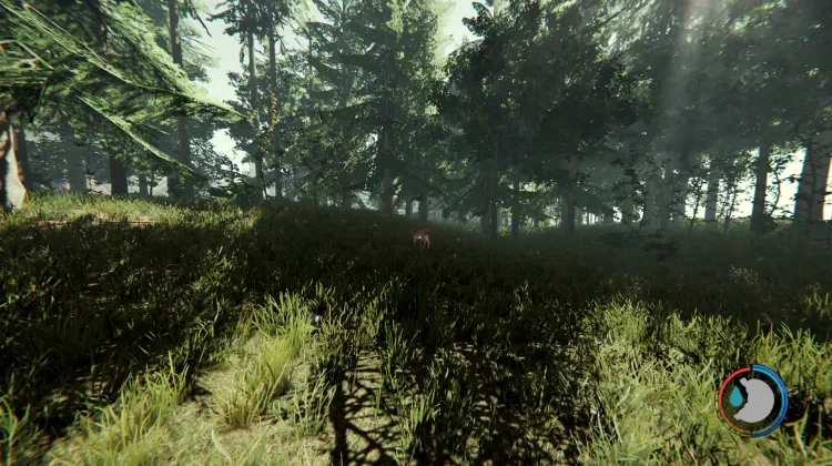 Cerfs