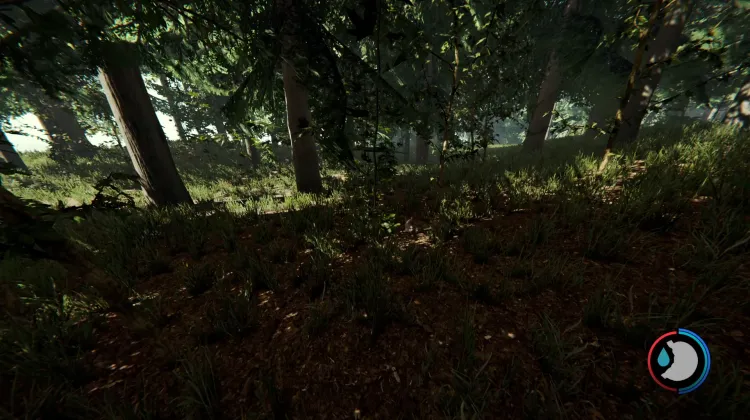 Rabbits
