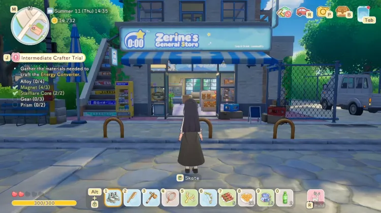 Zerine's General Store