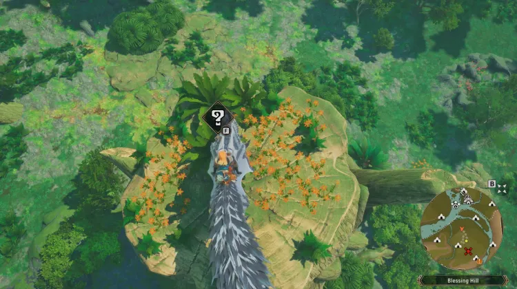 Poogie