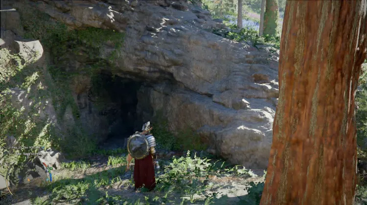 Wolf's Molar Cave