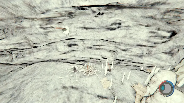 Crossbow Bolts