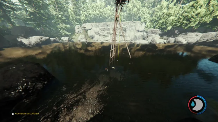 Fishes