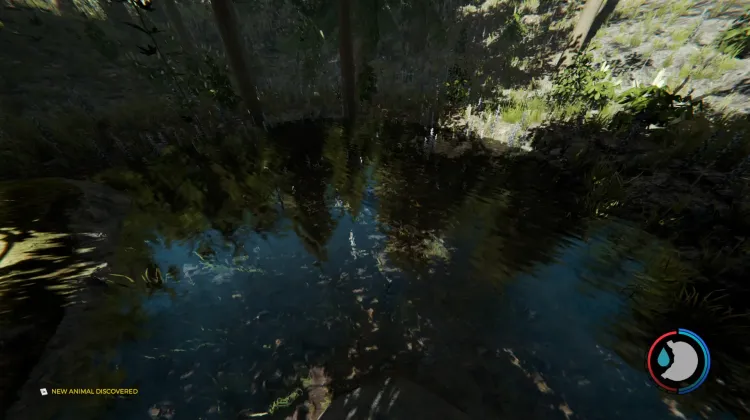 Fishes