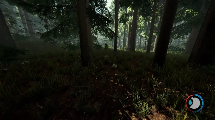 Rabbits