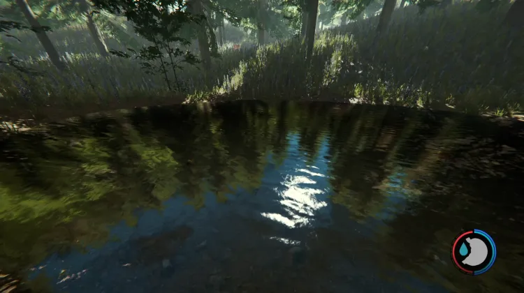 Fishes