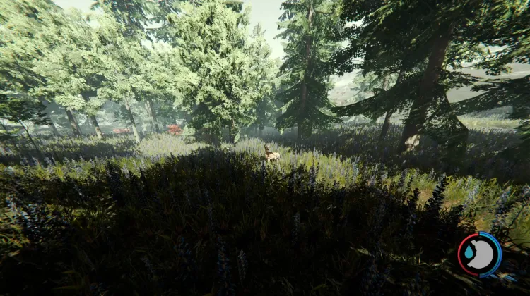 Cerfs