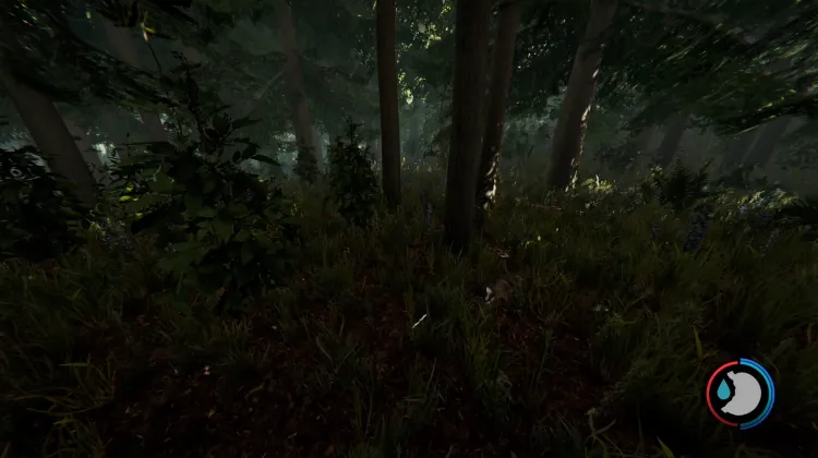 Rabbits