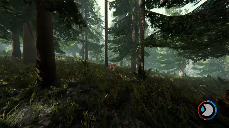 Cerfs