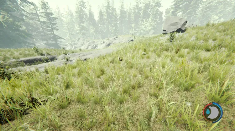 Rabbits