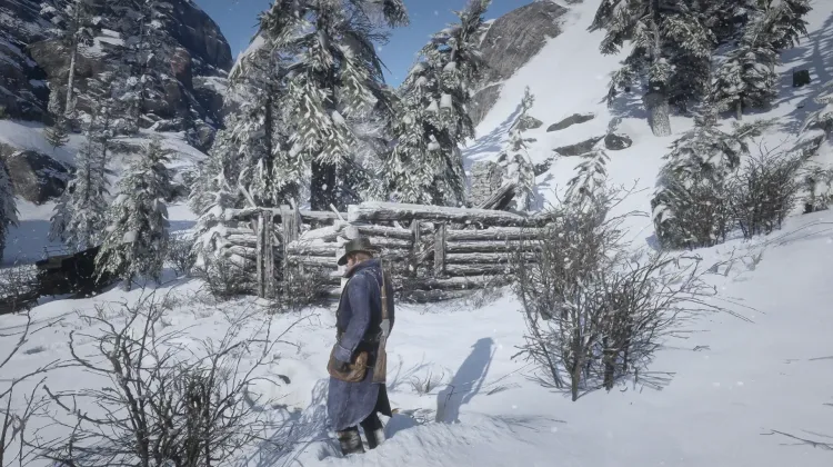 Cabana do Campo Nevado