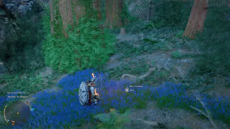 Blue Lavander
