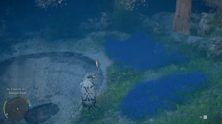 The Four Pits of Wayward Woods