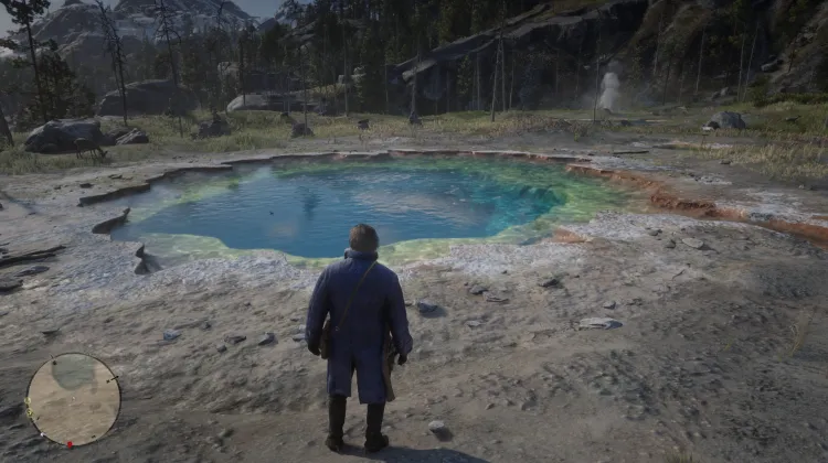 Cotorra Springs