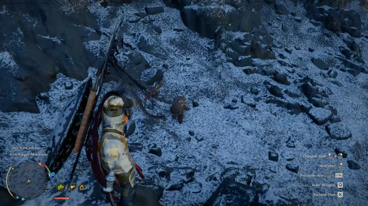 Bear