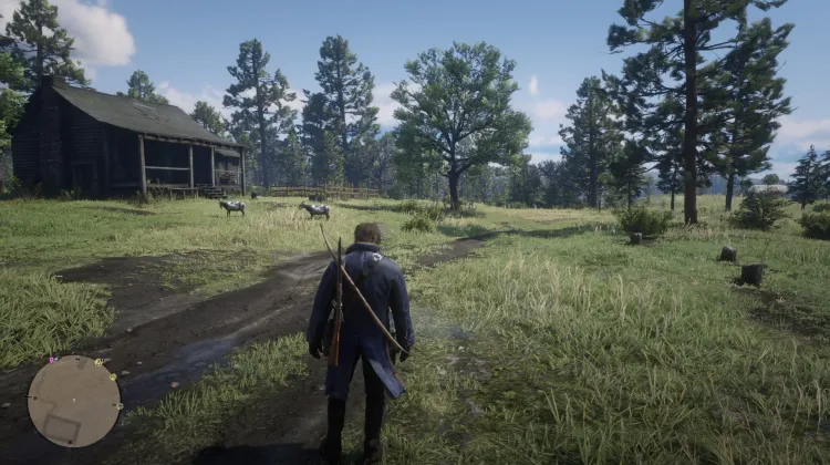 Downes Ranch