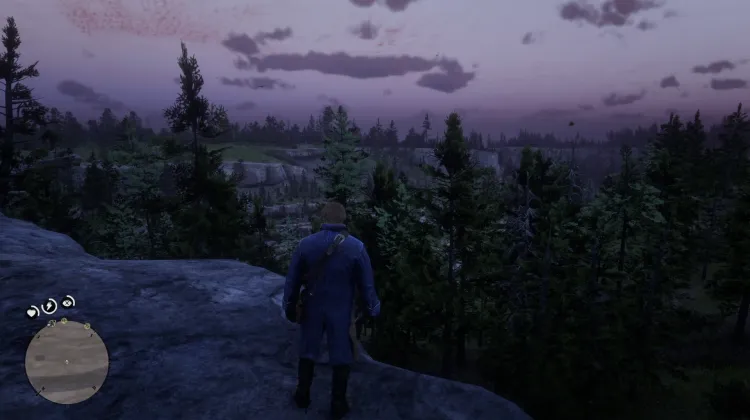 Wallace Overlook