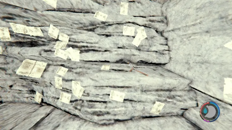 Crossbow Bolts