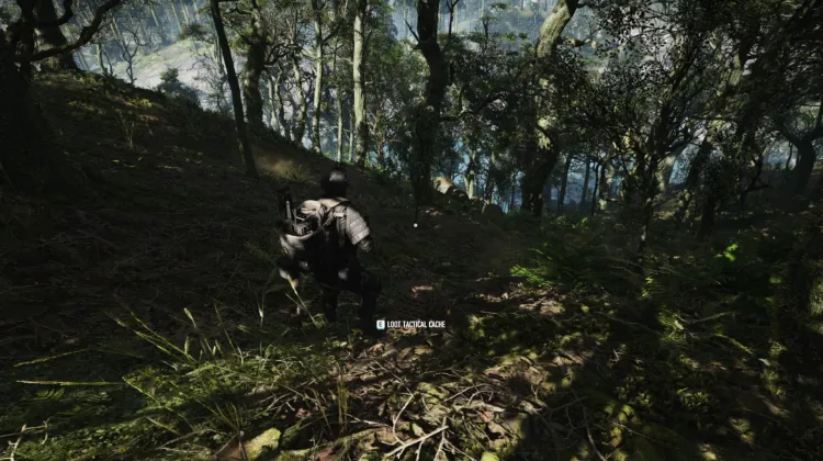 Tactical Caches
