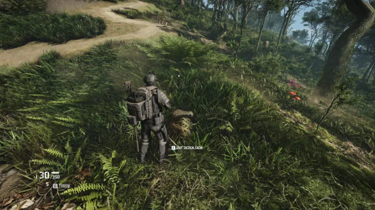 Tactical Caches