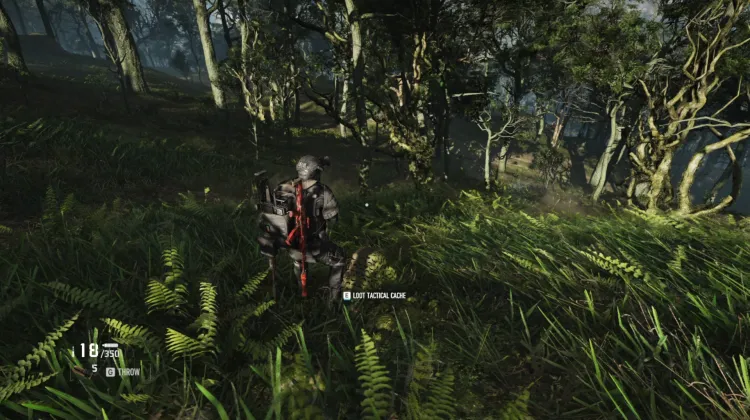 Tactical Caches