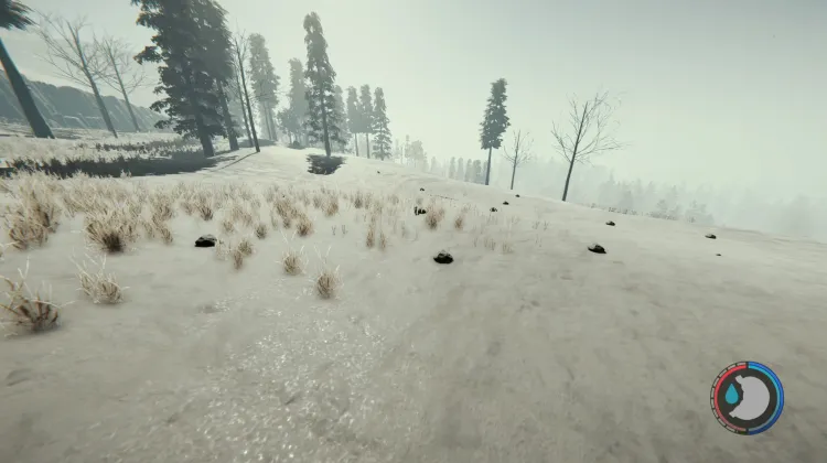 Rabbits