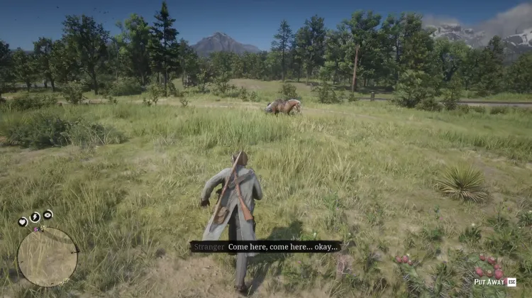 Man Taking Care of His Horse