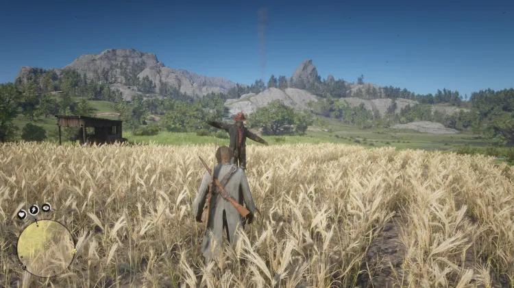Scarecrow Hat