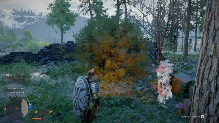 Timeworn Graves