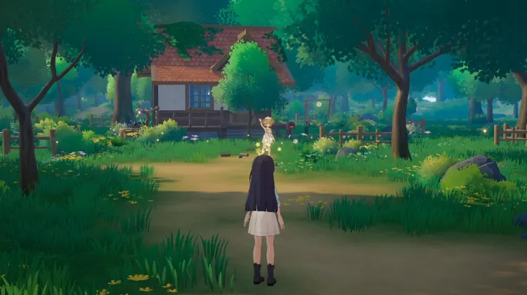 Return to the cabin in the woods