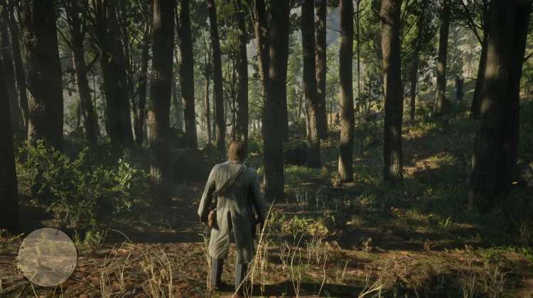 The Whispering Forest