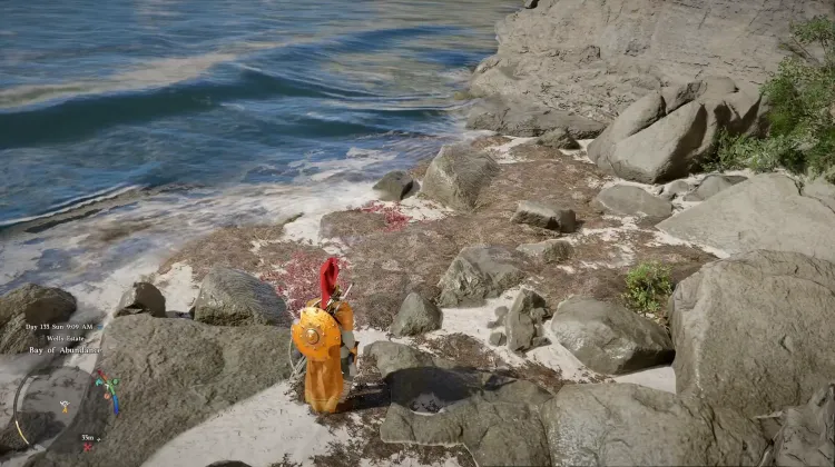 Red Seaweed