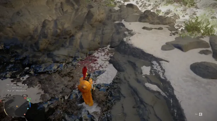 Red Seaweed