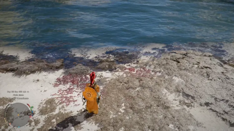 Red Seaweed