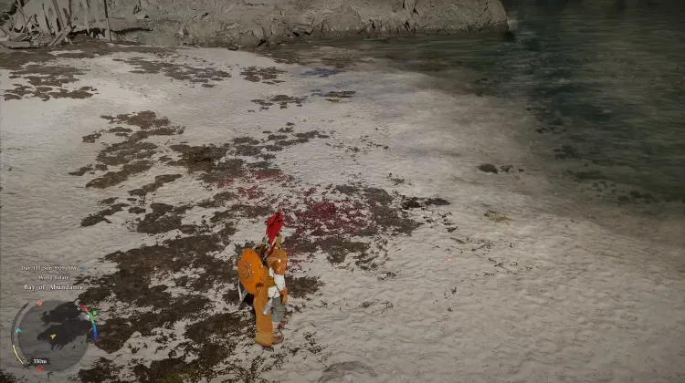 Red Seaweed