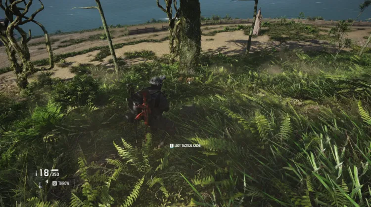 Tactical Caches