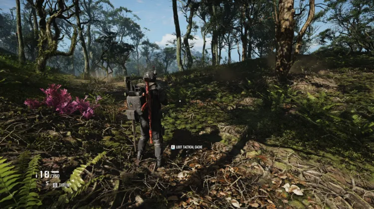 Tactical Caches