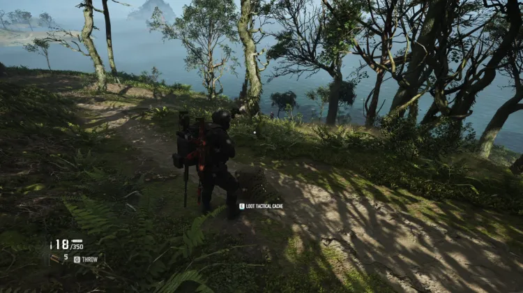 Tactical Caches