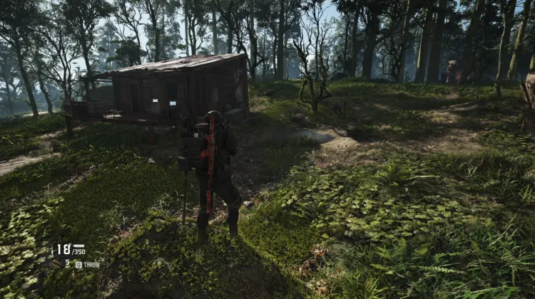 Aamon Assault Area