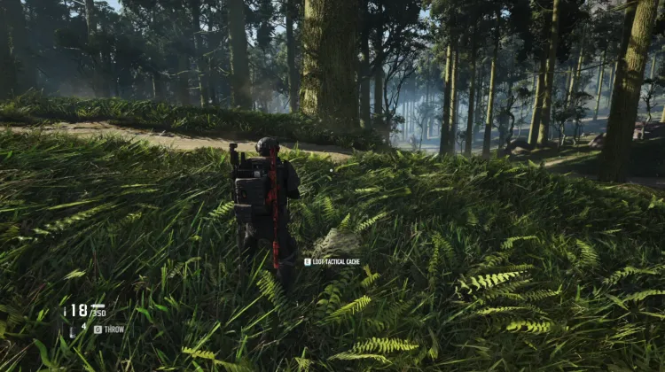 Tactical Caches