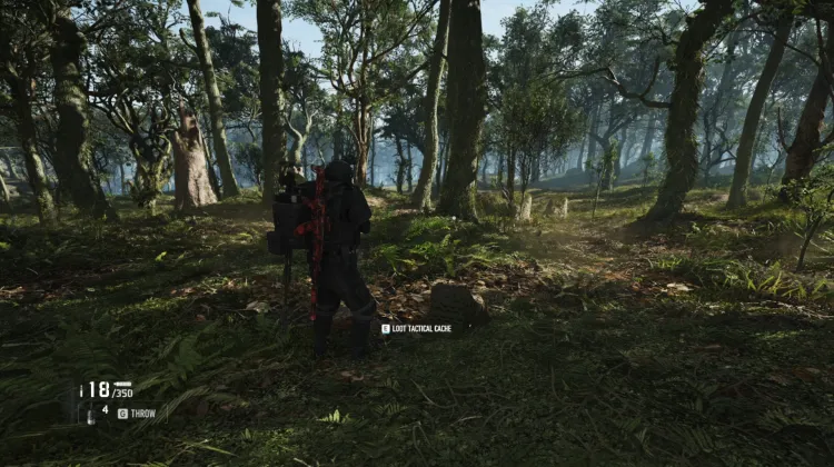 Tactical Caches