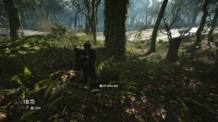 Tactical Caches